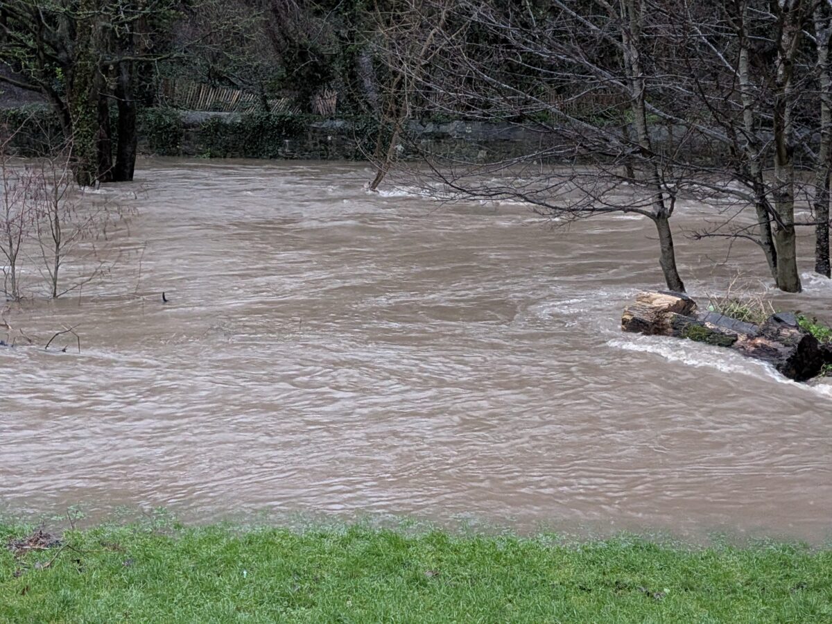 PXL 20260127 082619107.MP