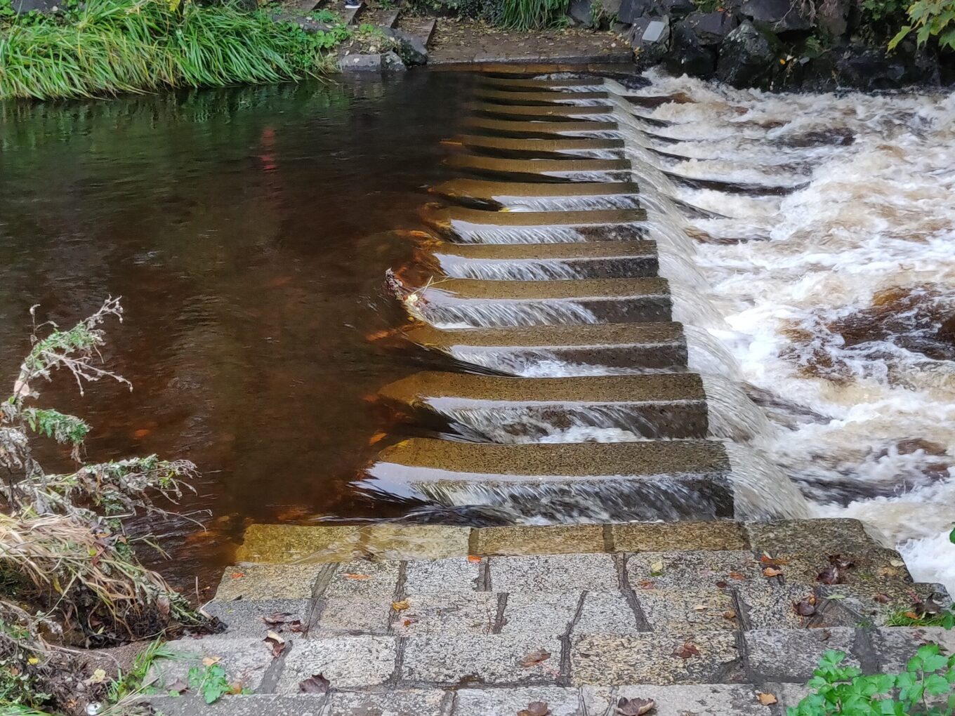Flooded stepping stones with water flowing over the top of them